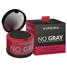 Тонуюча пудра-коректор для відростів волосся Vipera No Gray №04 чорна 7,7 г (5903587858048)